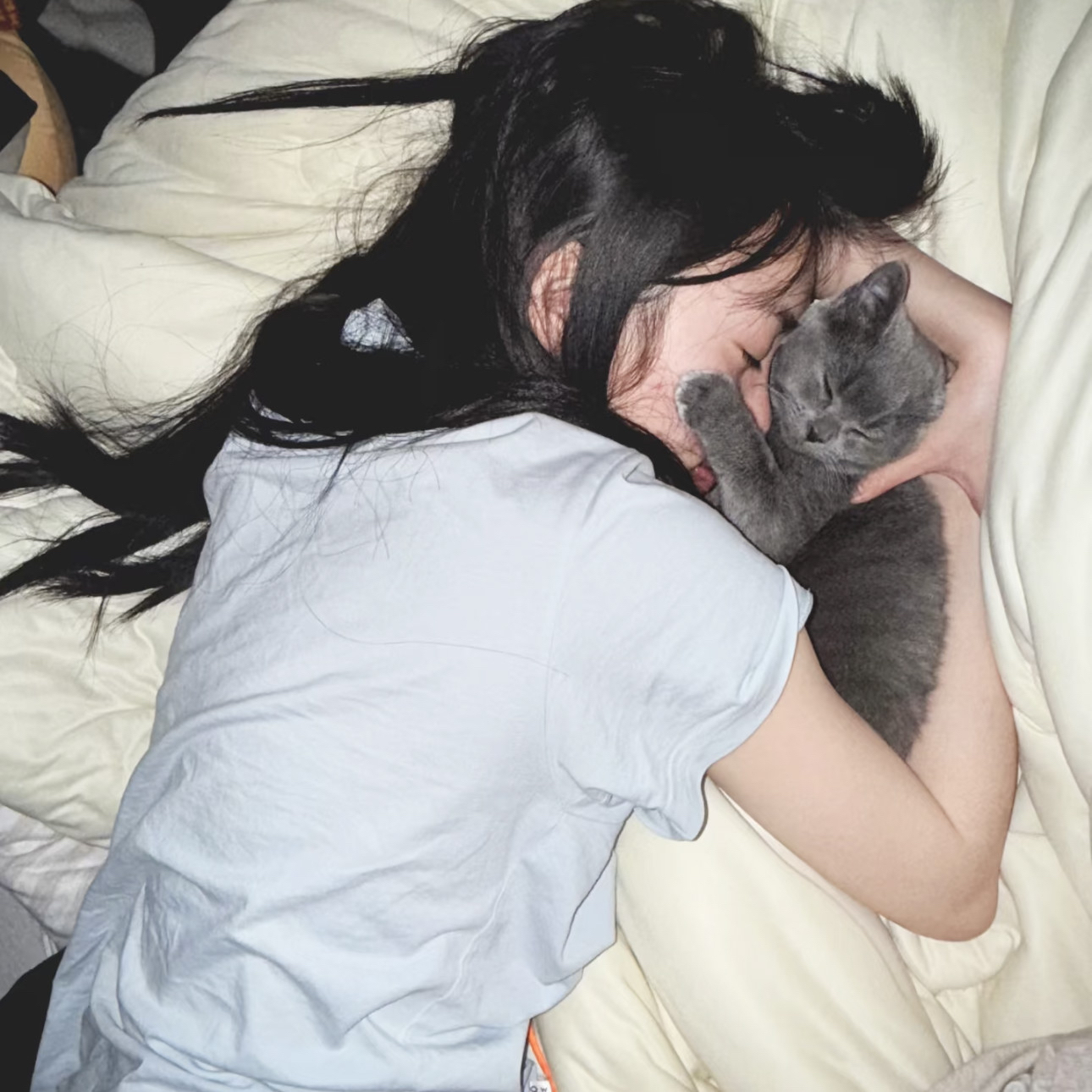 星空中文二区2026校园